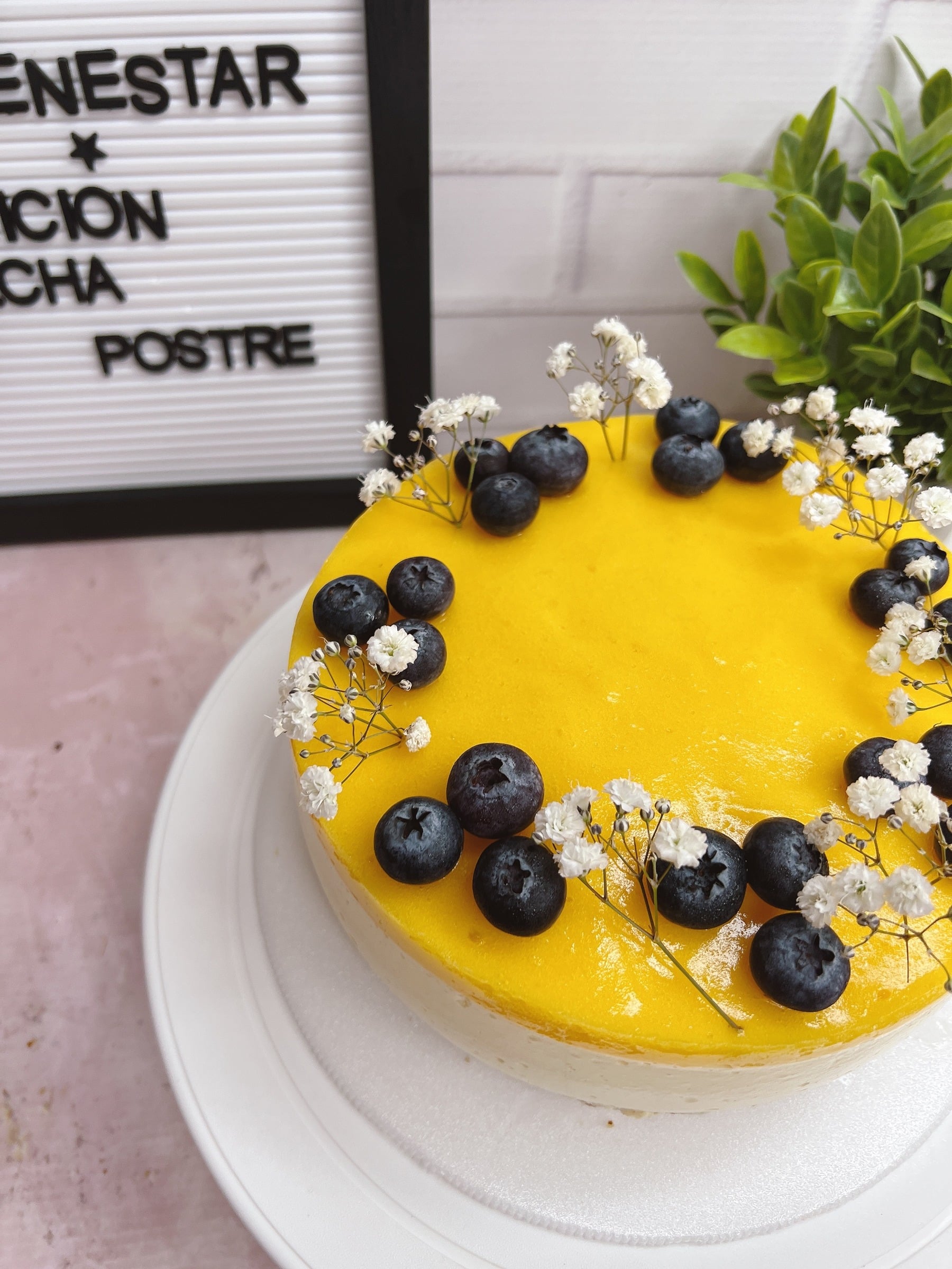 CHEESECAKE DE MANGO SALUDABLE